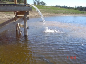 Water divining and bore location