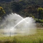 Bore Water In Use