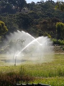 Bore Water In Use